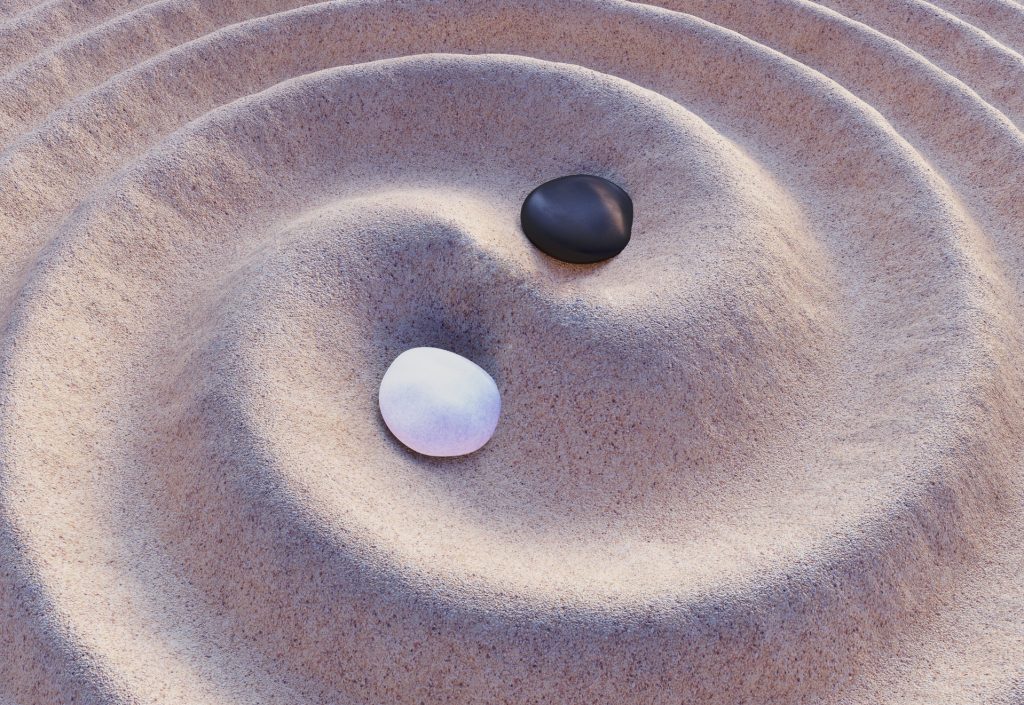 The Meaning of Zhi Neng Qi Gong Gene For Life